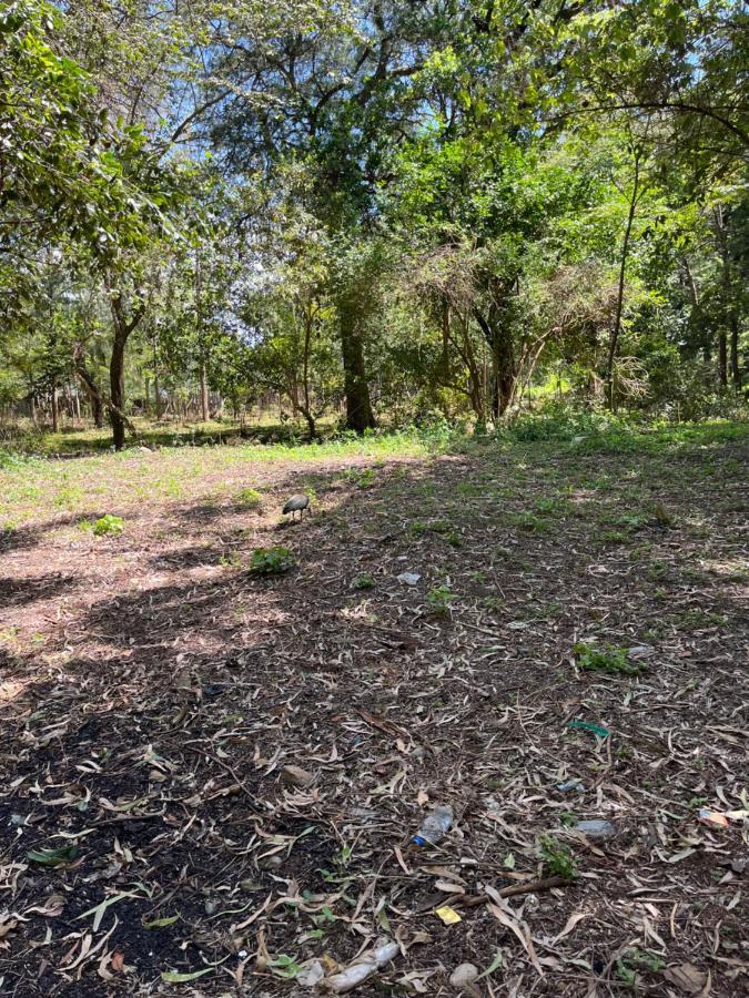 Koselig Homes Nanyuki Bagian luar foto