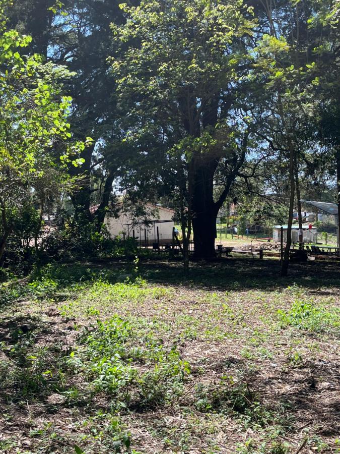 Koselig Homes Nanyuki Bagian luar foto