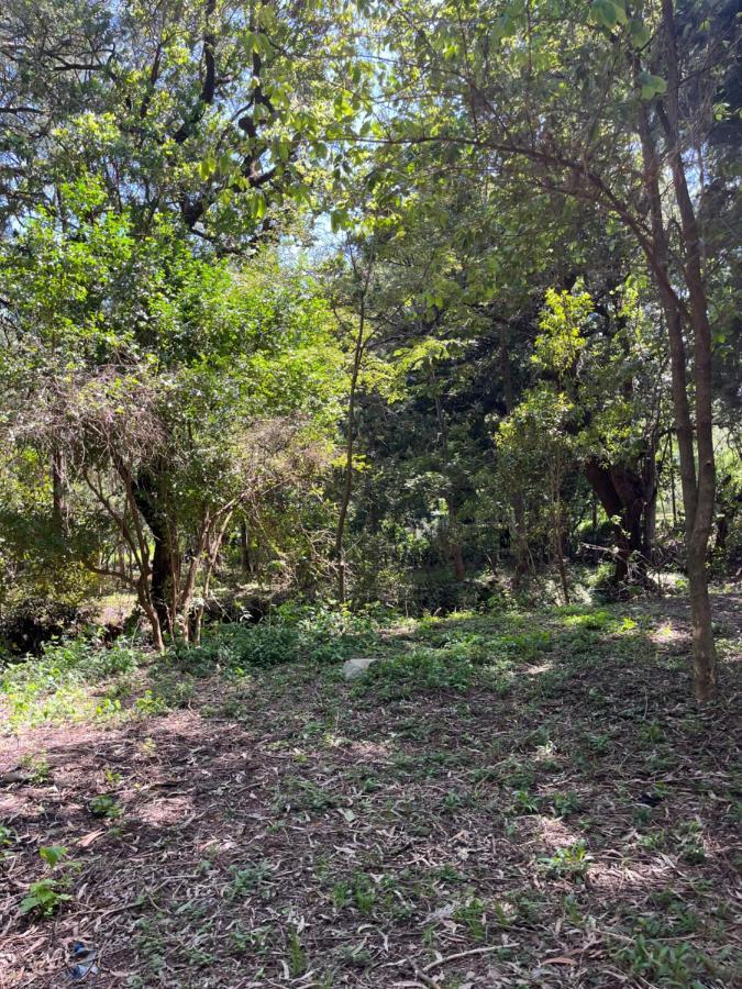 Koselig Homes Nanyuki Bagian luar foto