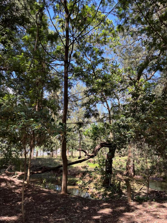 Koselig Homes Nanyuki Bagian luar foto