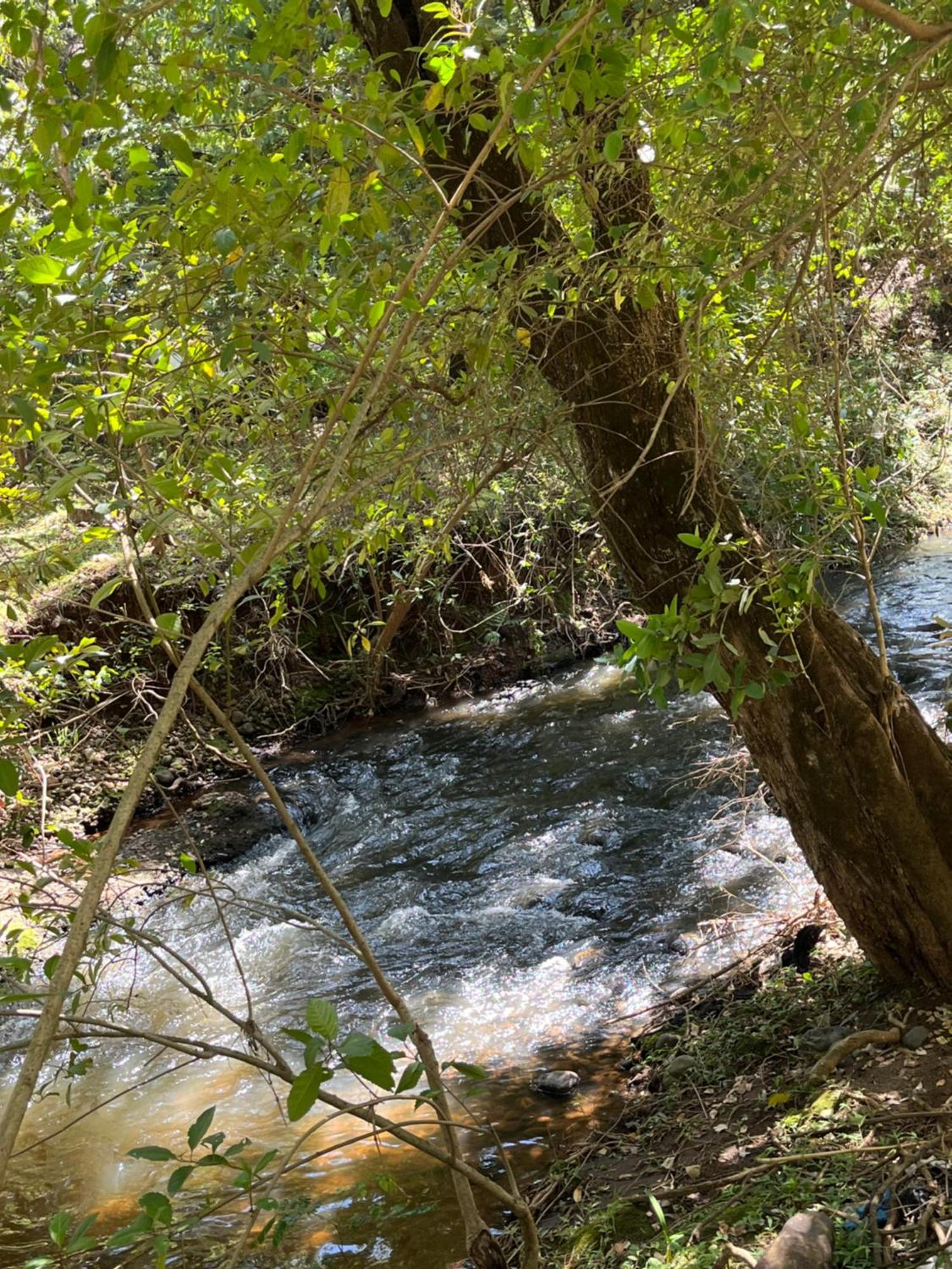 Koselig Homes Nanyuki Bagian luar foto